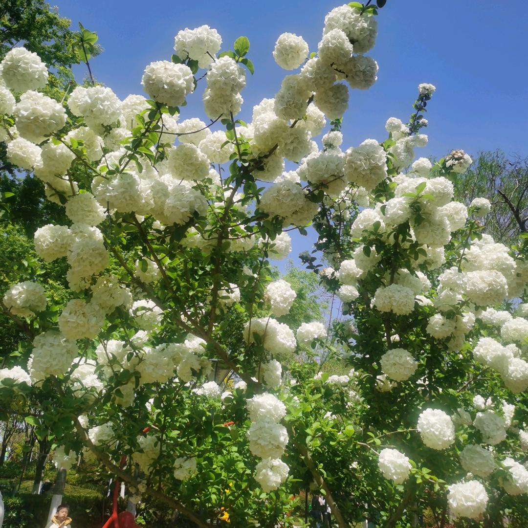 一生幸福🌹🌹🌵🌵