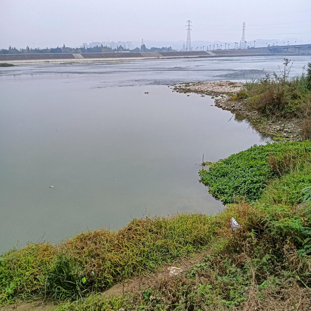 飘逸