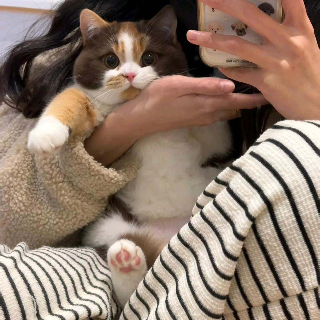 梅子