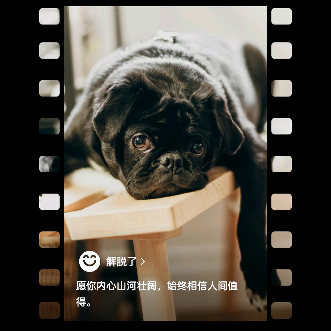 又菜又爱玩