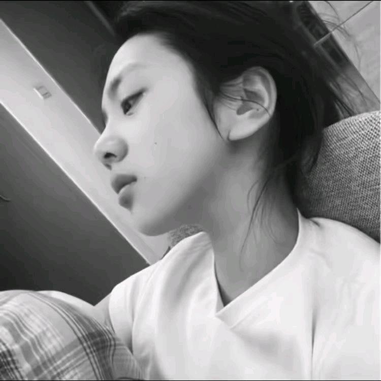y鑫