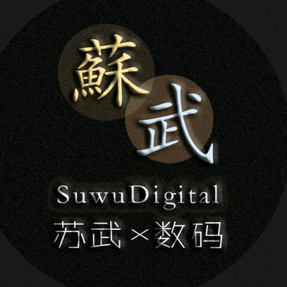 苏武数码