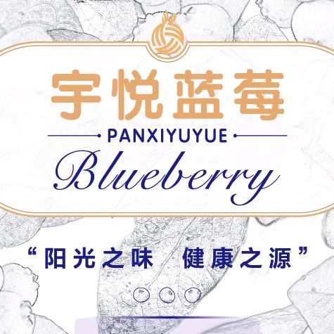 宇悦蓝莓