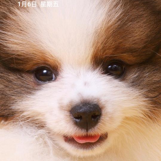 祝所有人身体健康