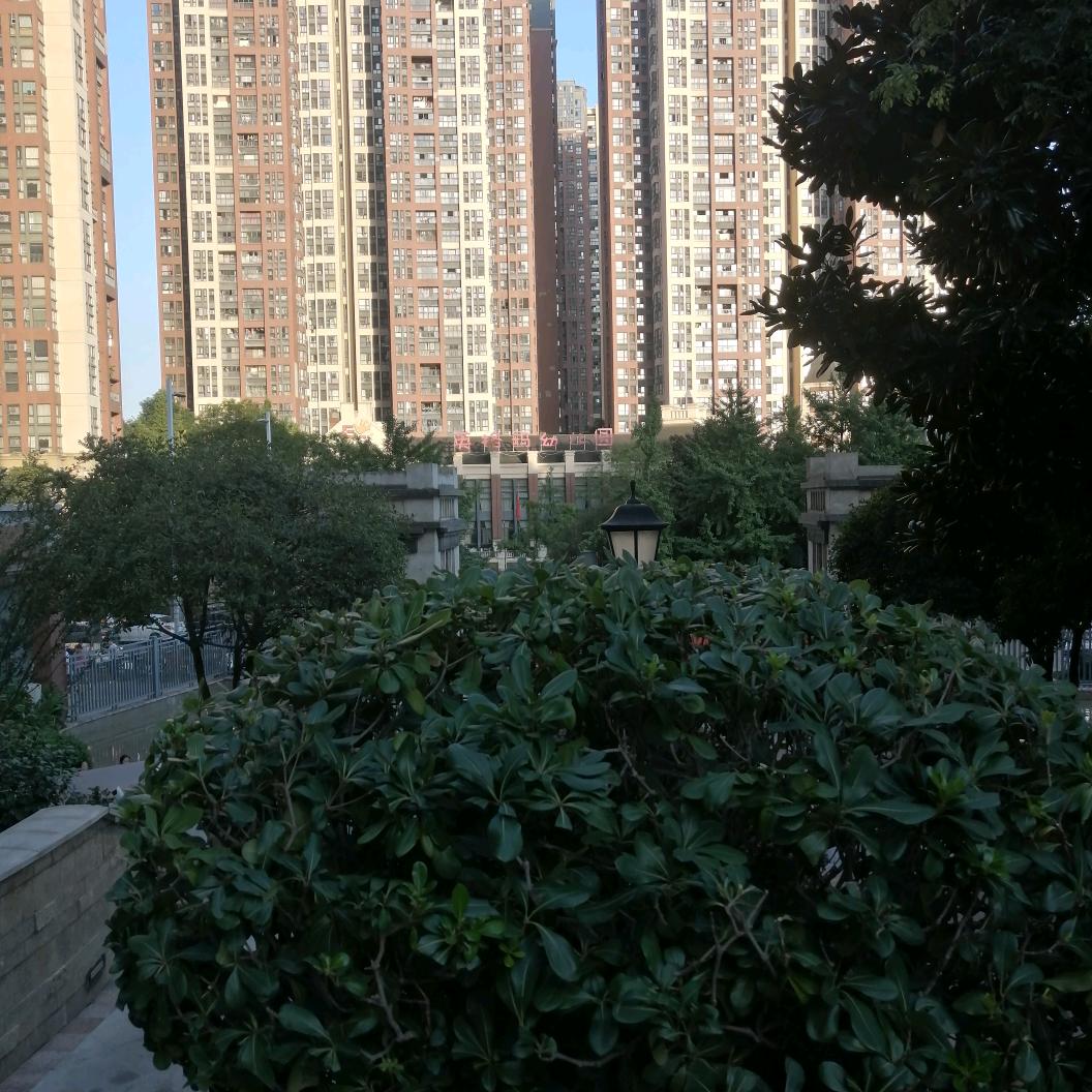 明天更美好