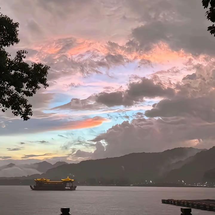 七星海棠
