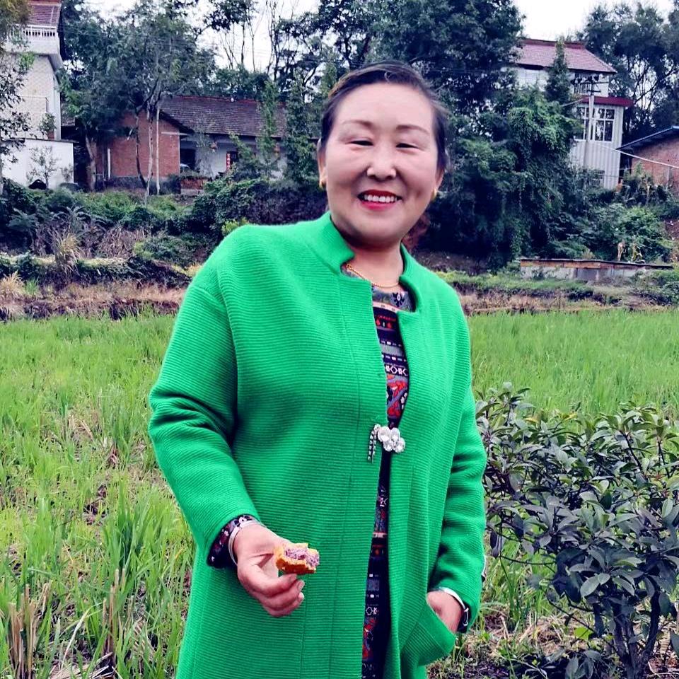王风琴