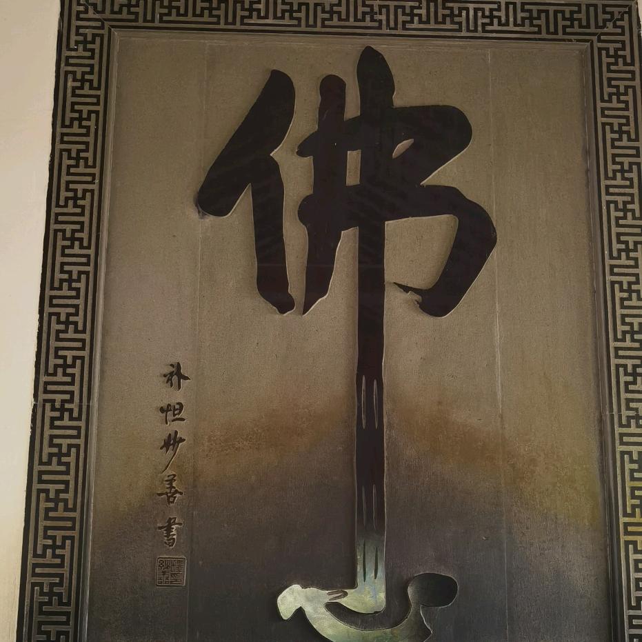随心