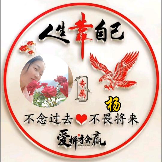 杨菊