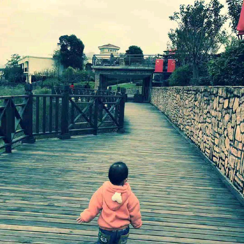 爽 歪 歪
