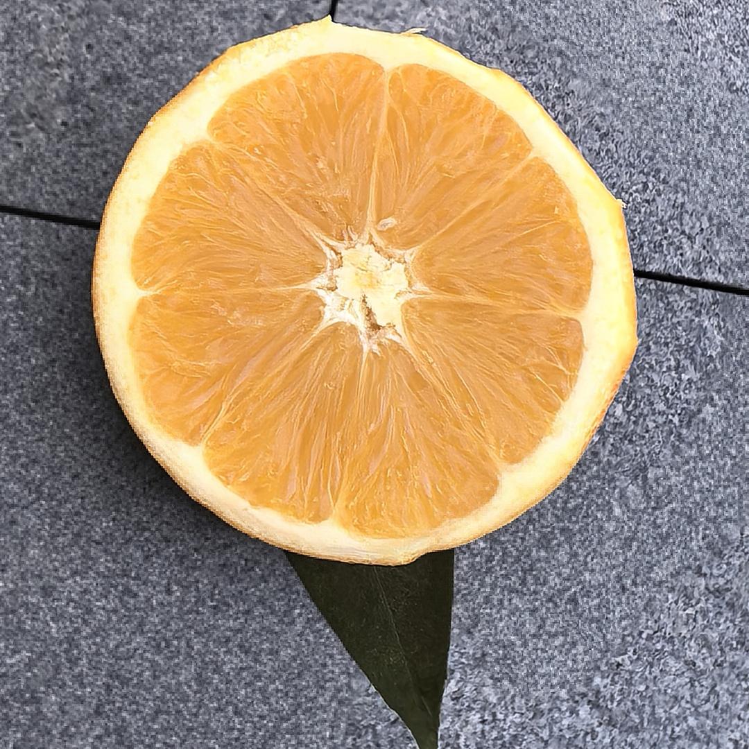 柠檬爱上咖啡后：