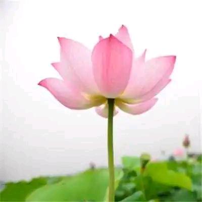 秦壁亭亭过桥米线（拒私聊）