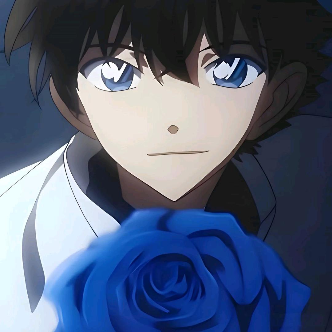 王者荣耀（怪盗基德）