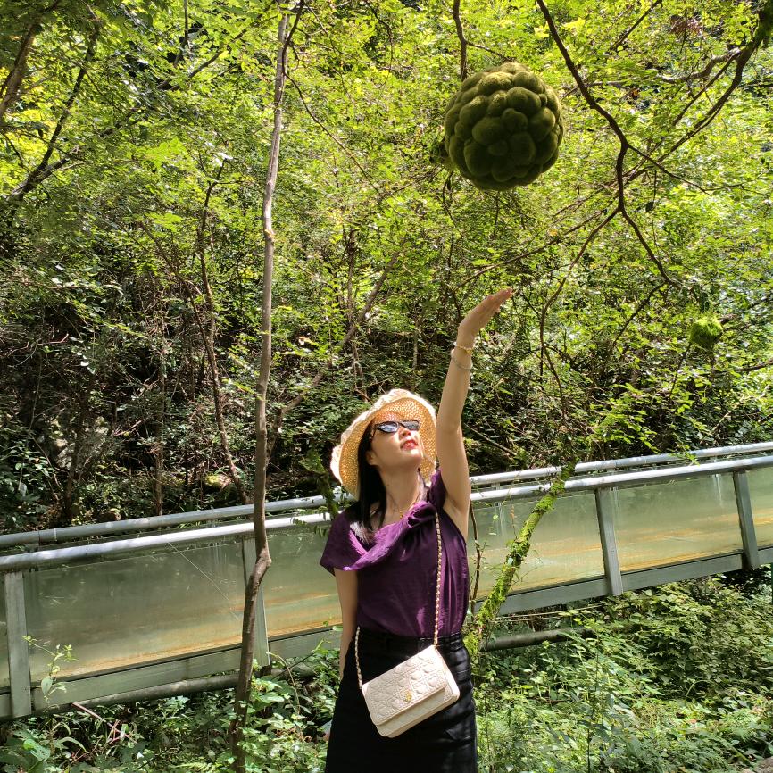 🍀湘妹子🍀