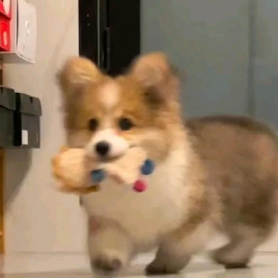 啦啦啦啦啦啦啦