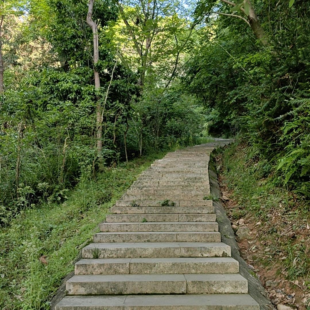 健美王