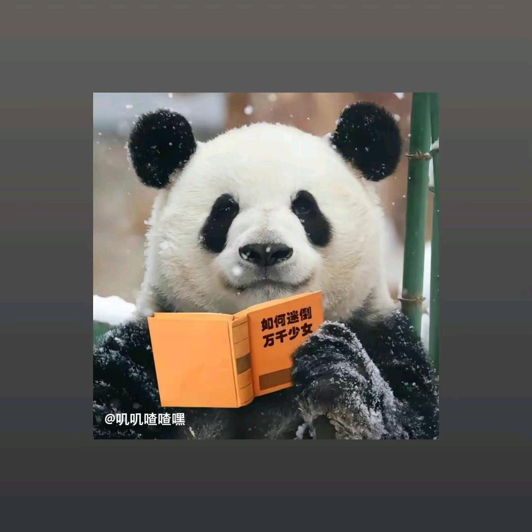 Aa方糖