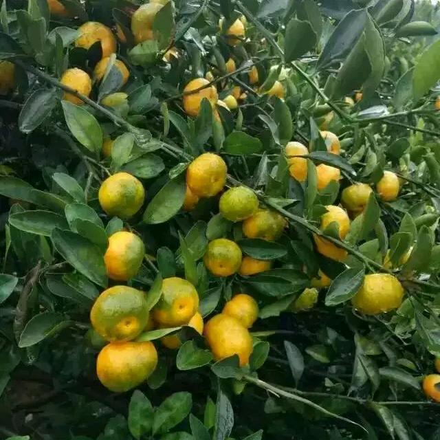 坚持到底！