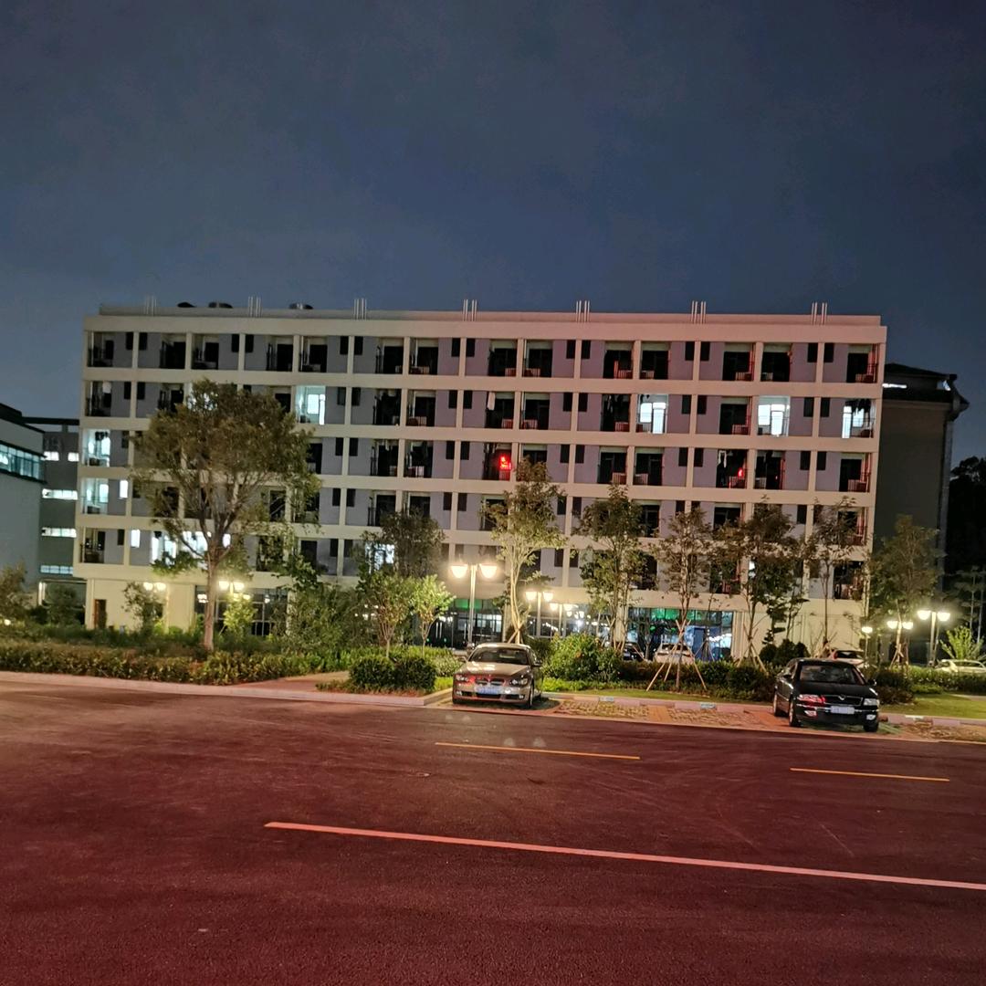 鱼儿游。