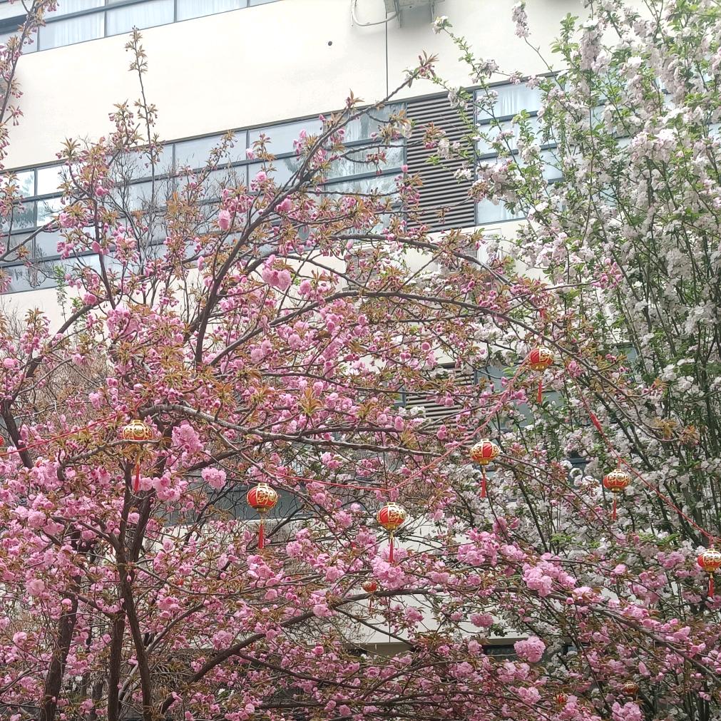 光芒万丈175