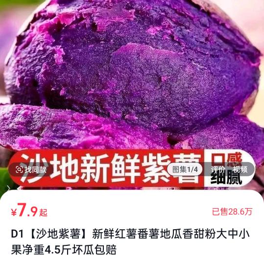 二傻子流浪