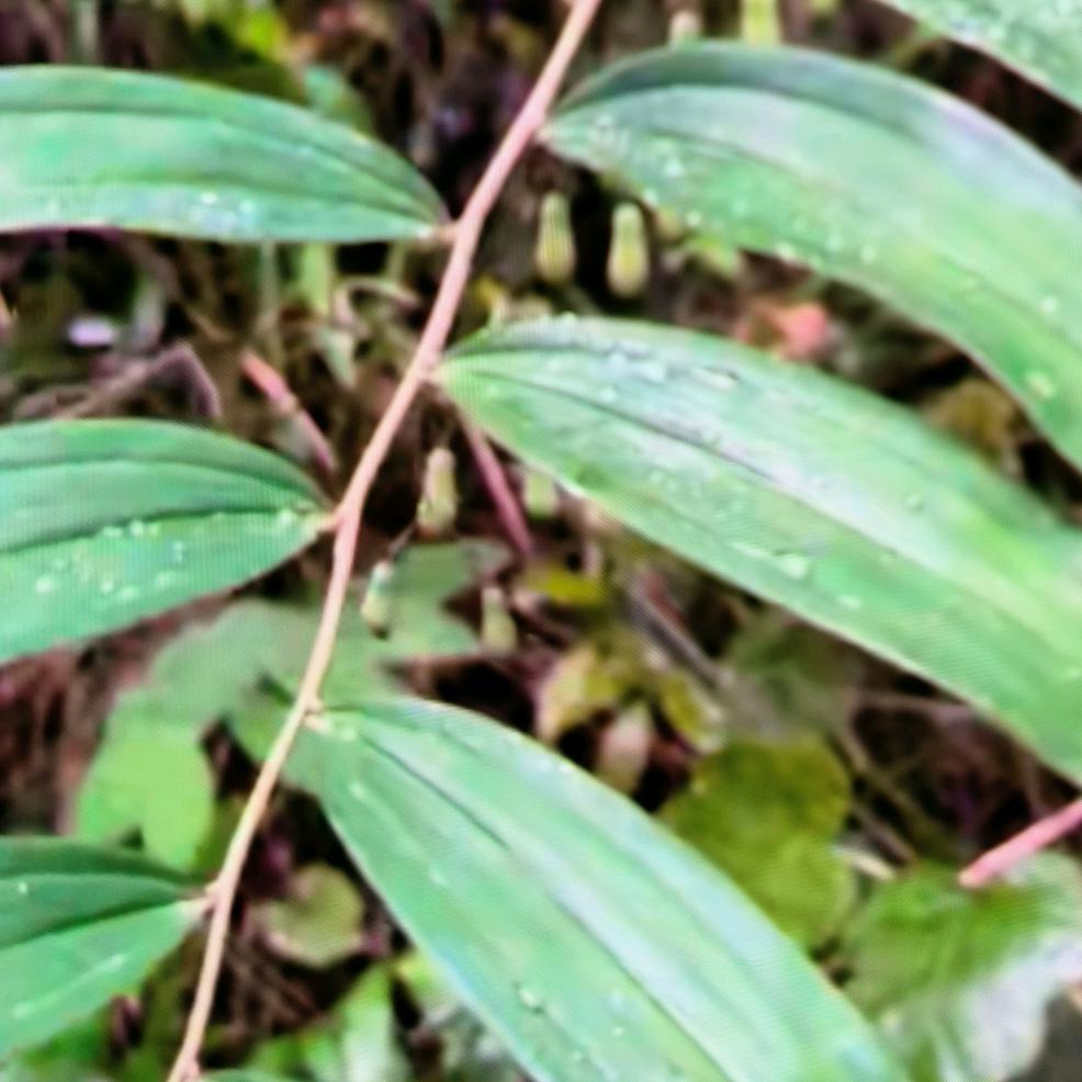 爱你一万（年）🐉👫