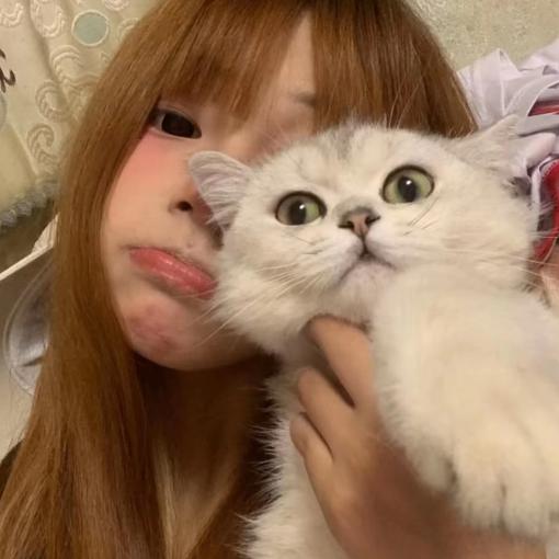林嘉名.