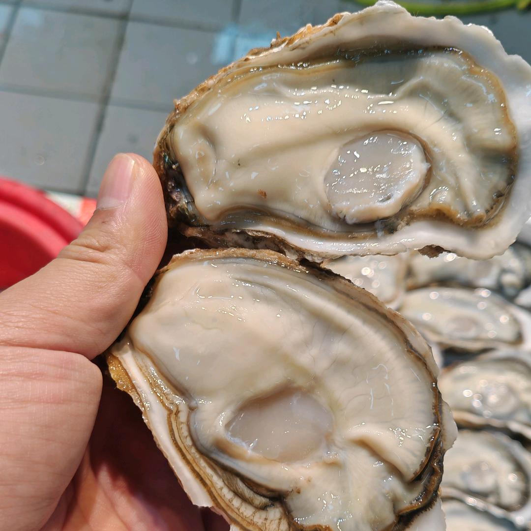 阿炮生蚝