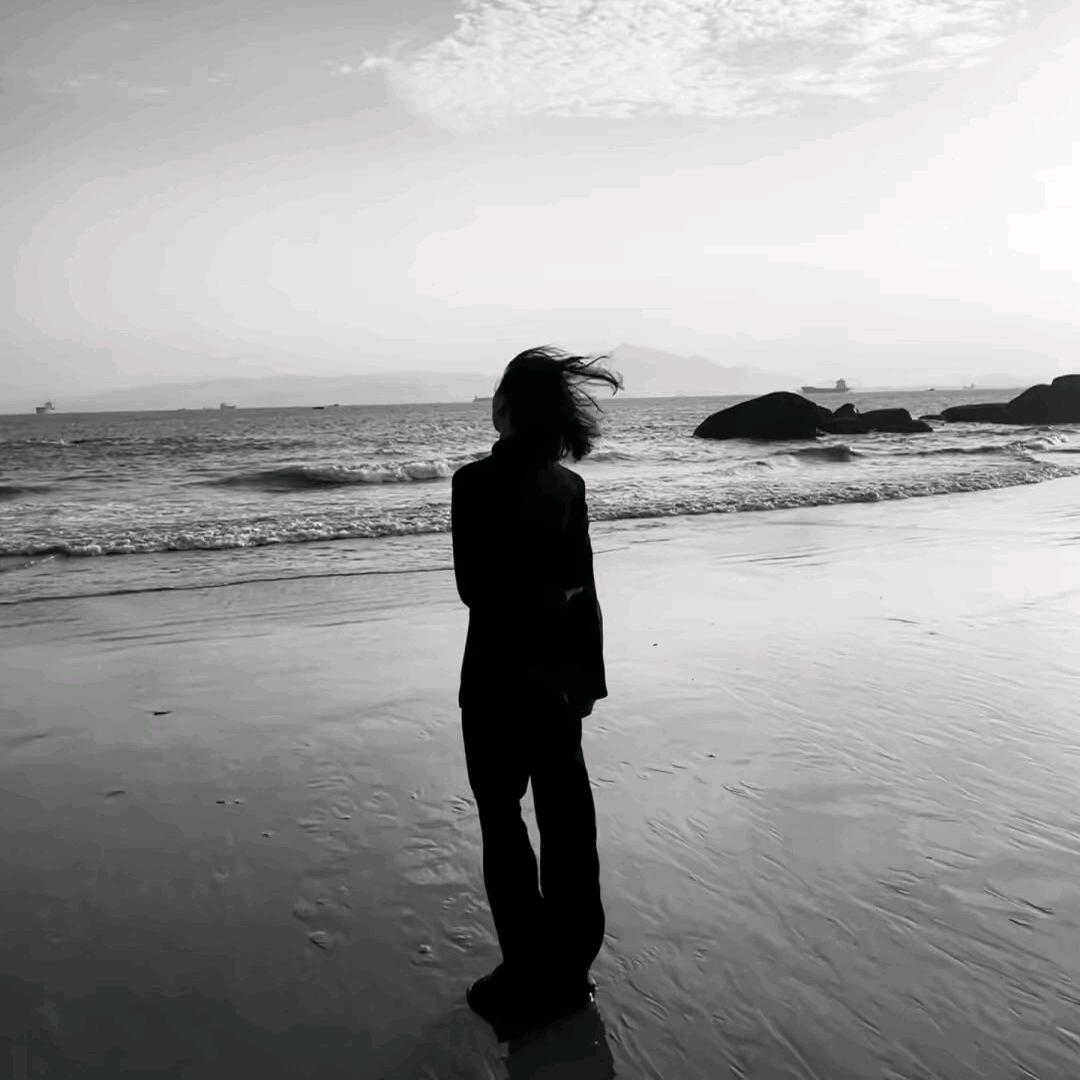🌊燕 子