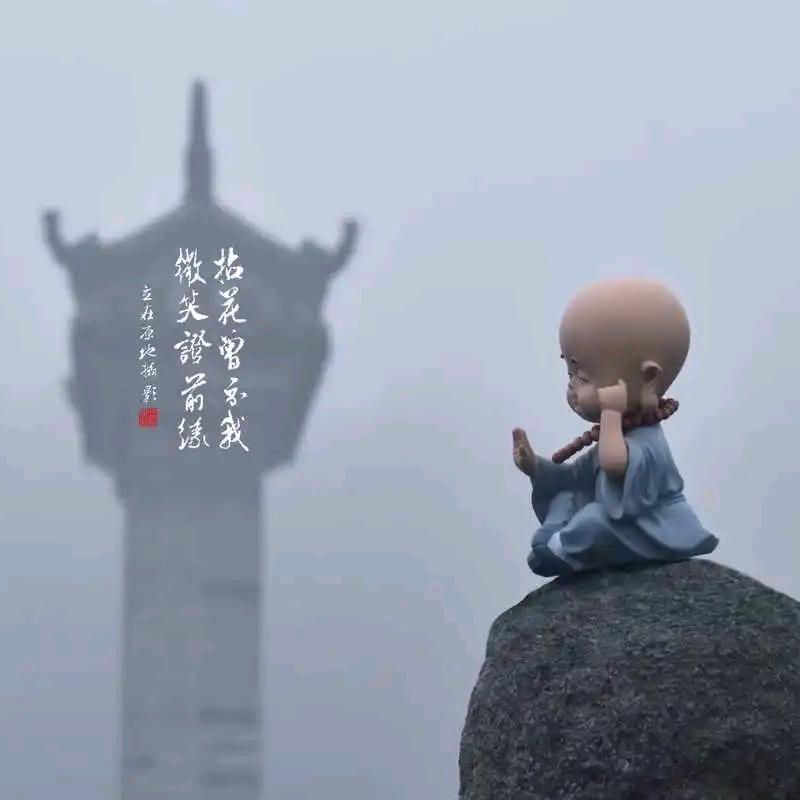 💞风信子