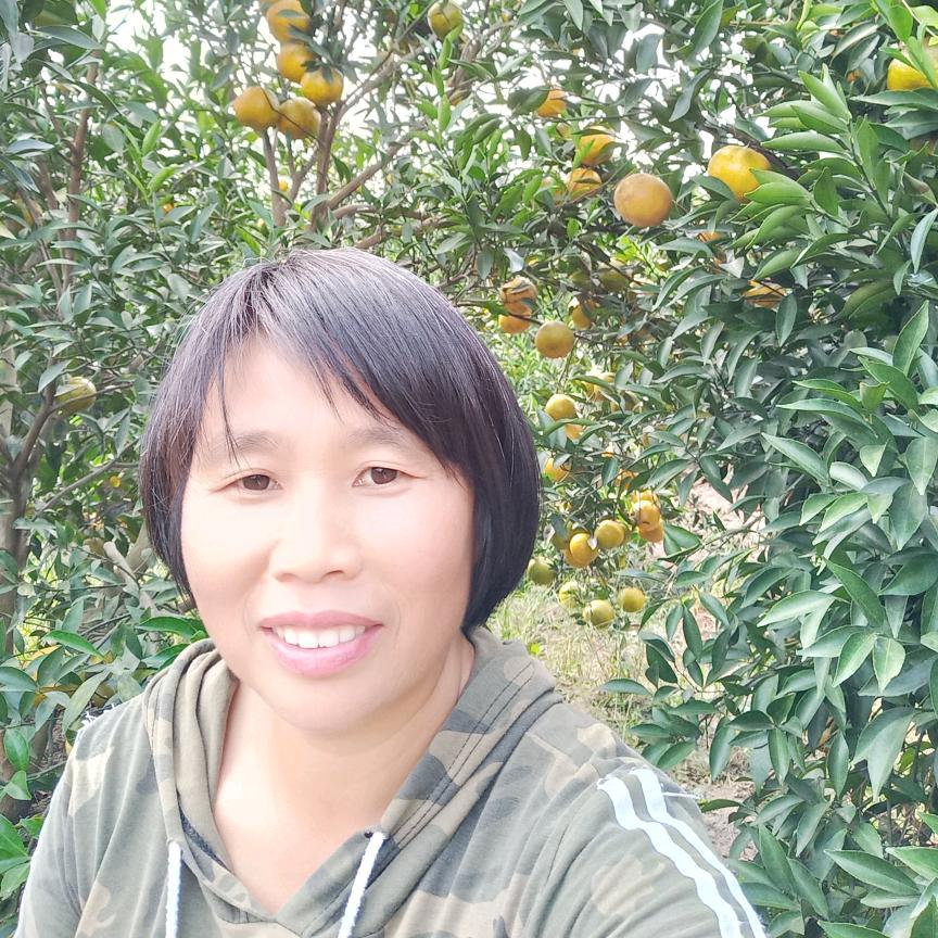 重生之大学生回广西卖果子