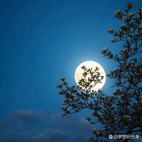 花下酌酒