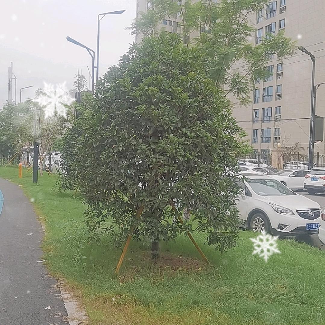 林姐百货