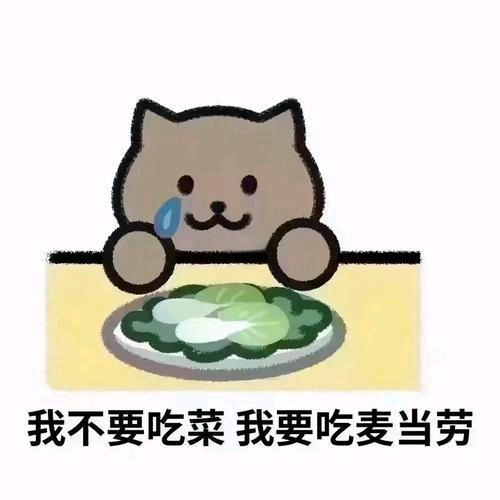 抖鹏真爱粉