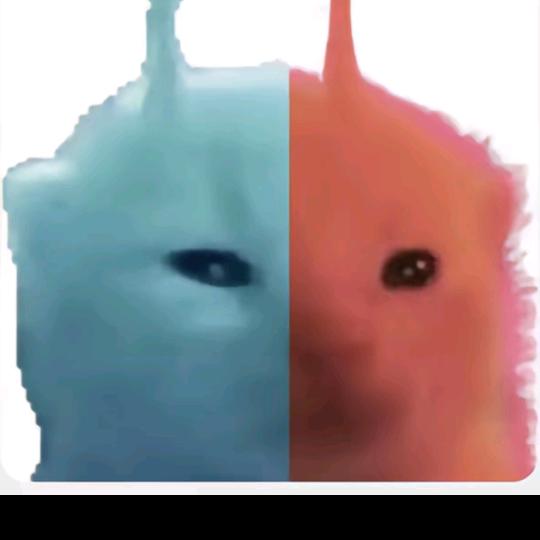 爱玩DL
