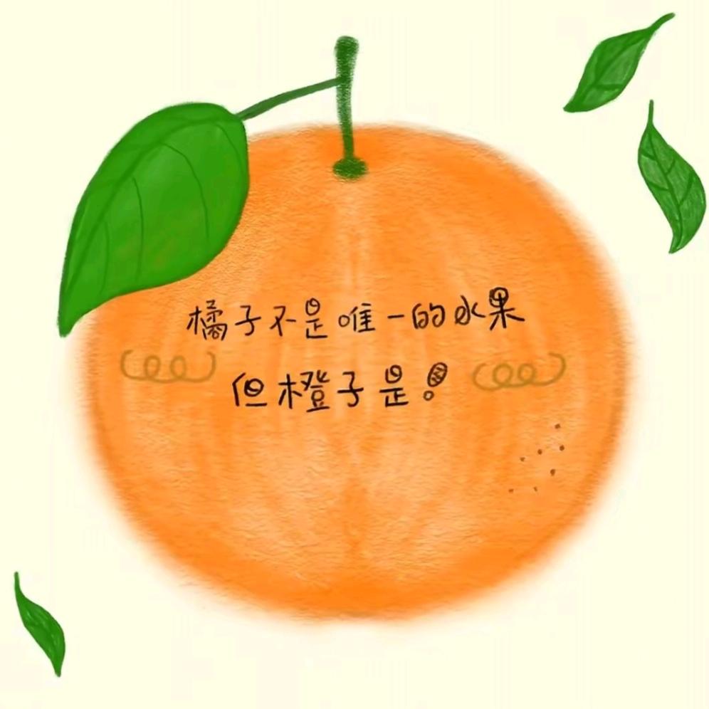 爱吃橙子🍊