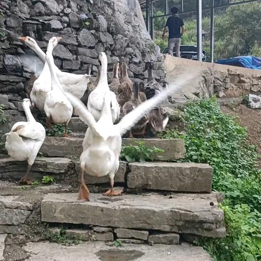 独居生活