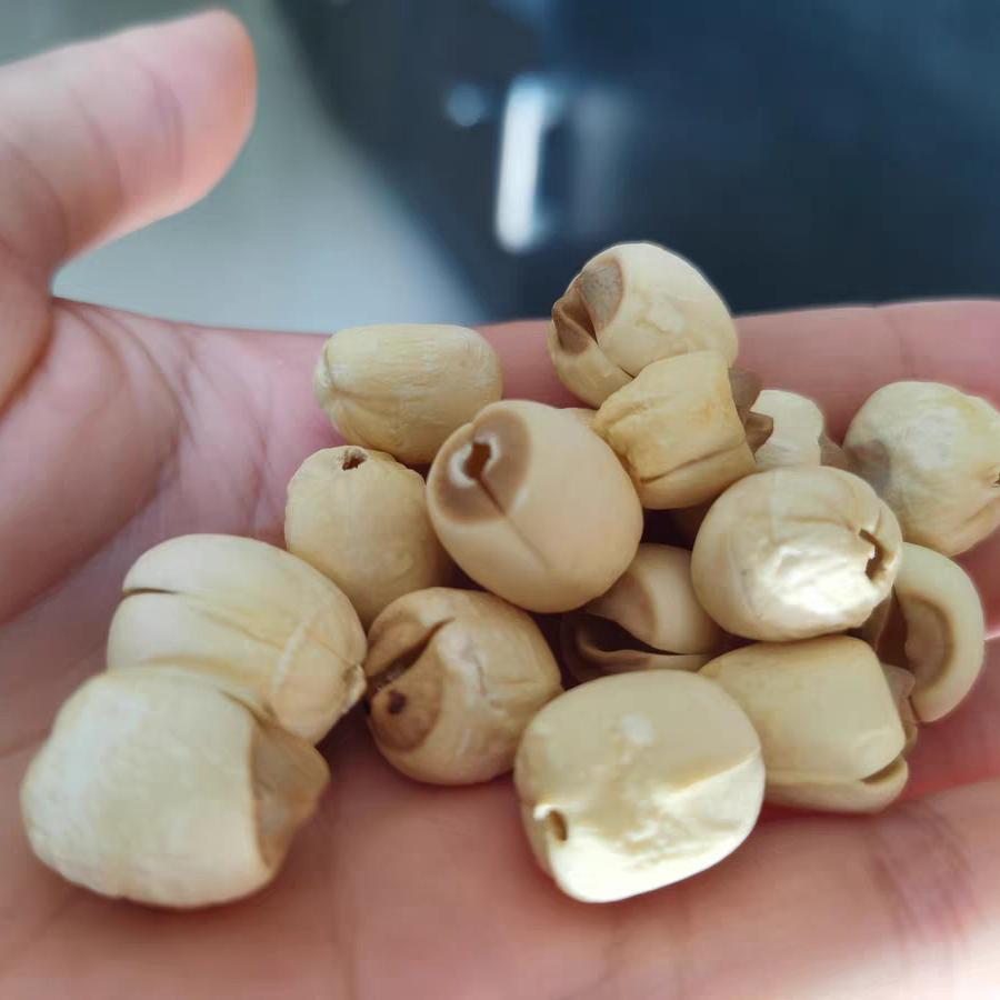 醉班河优品