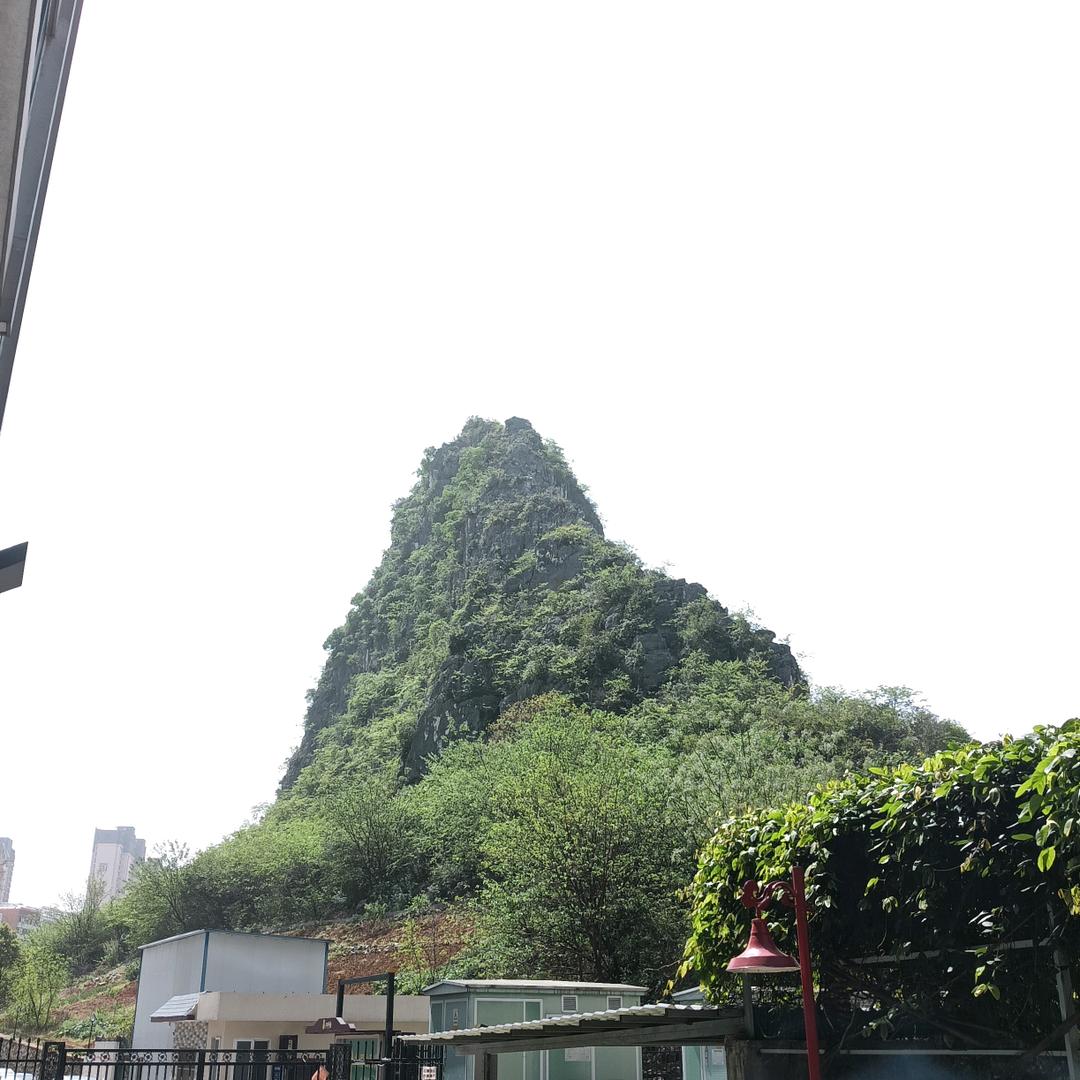 自由飞翔