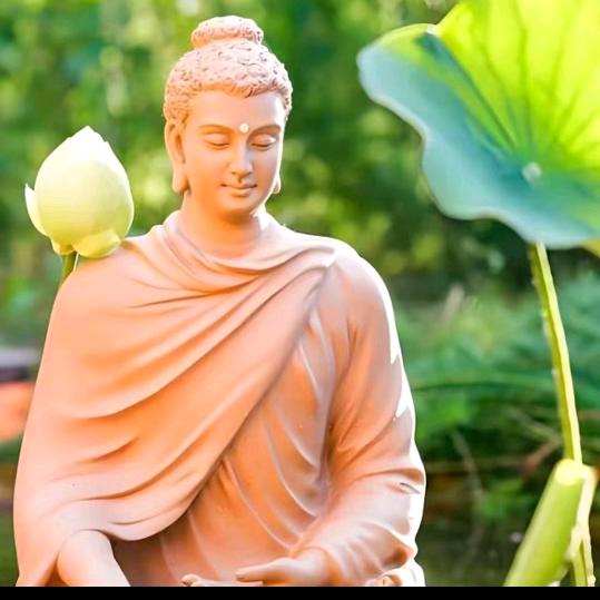 风清扬（ZY1974A）