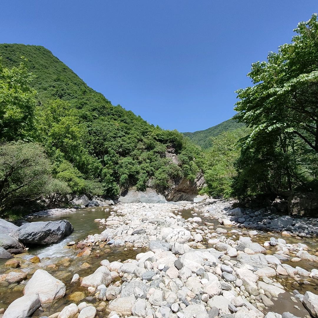 哥屋窝郭