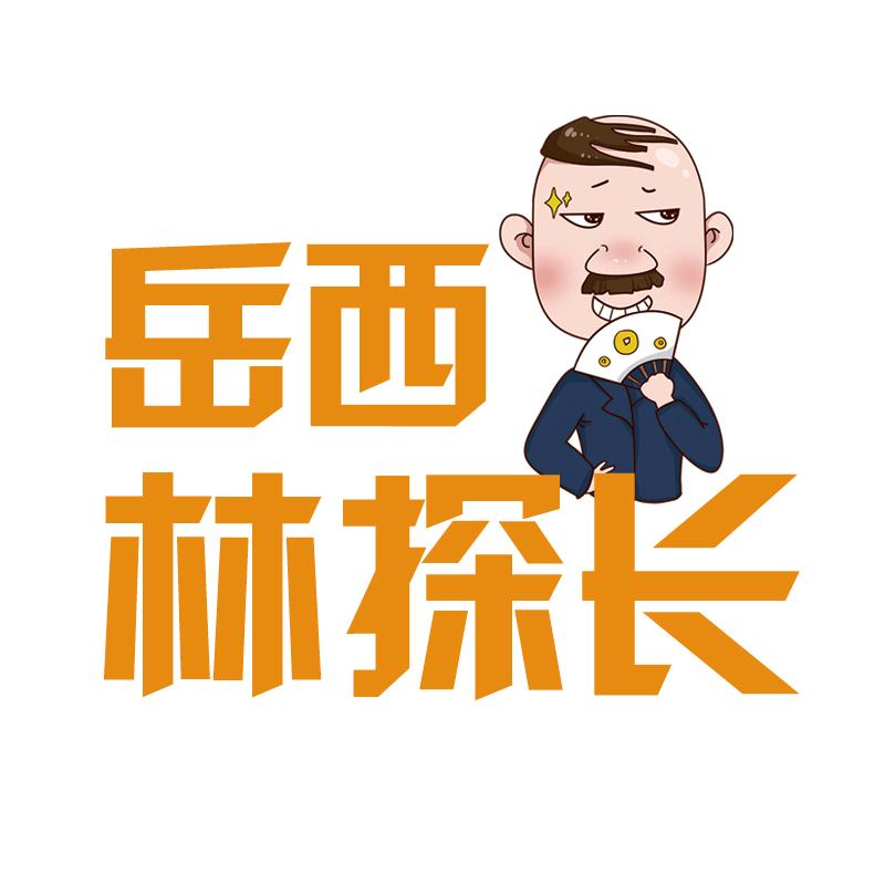 岳西林探长