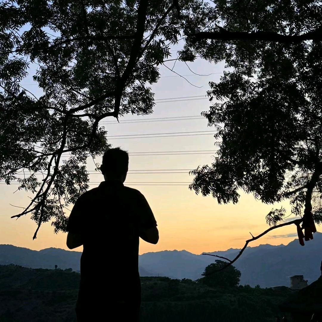 雪娃儿（预售脐橙版）