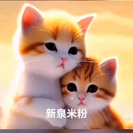 新泉米粉