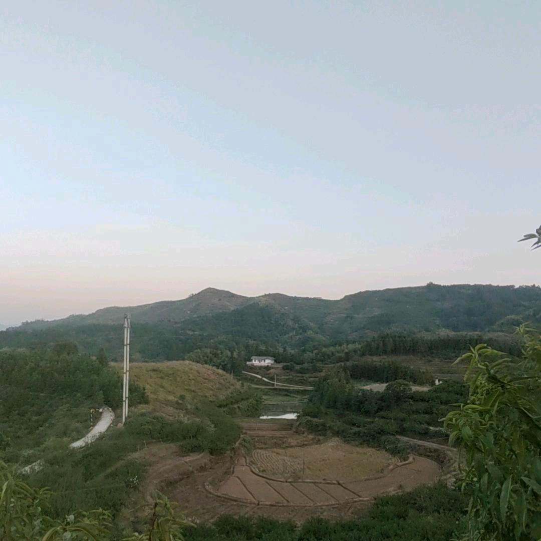 新时代农民