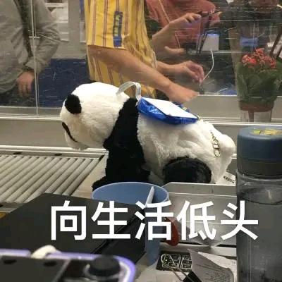 梦旋