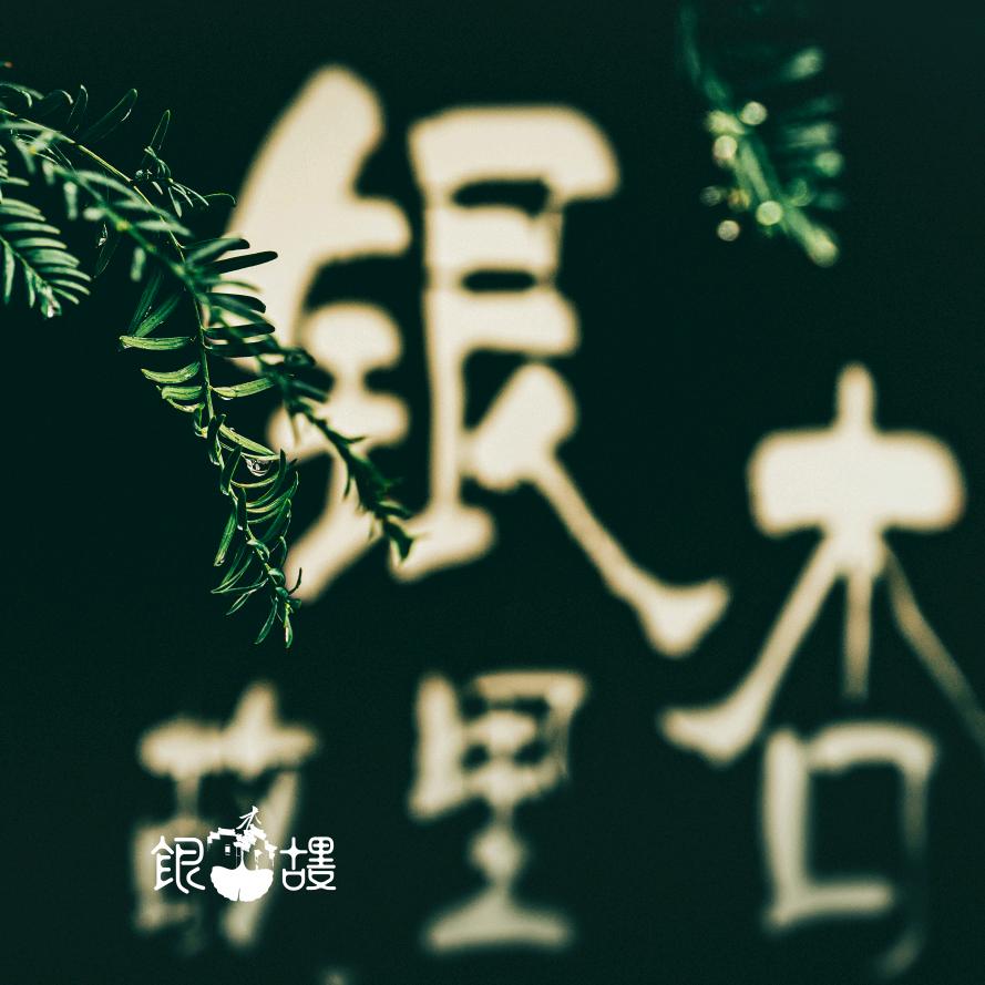 银杏故里康养民宿