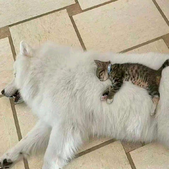 我睡觉的时候不困