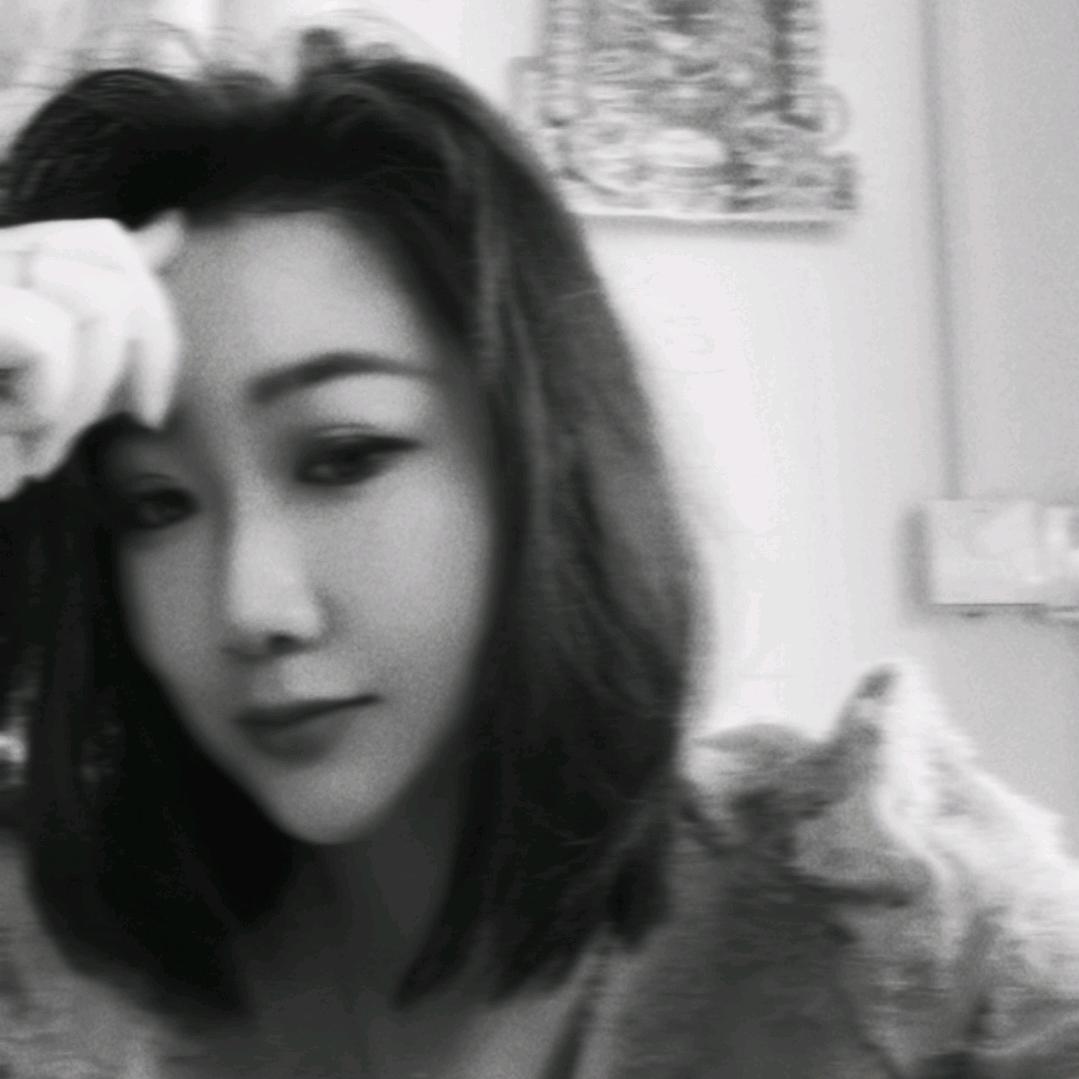 半城繁華半城傷の