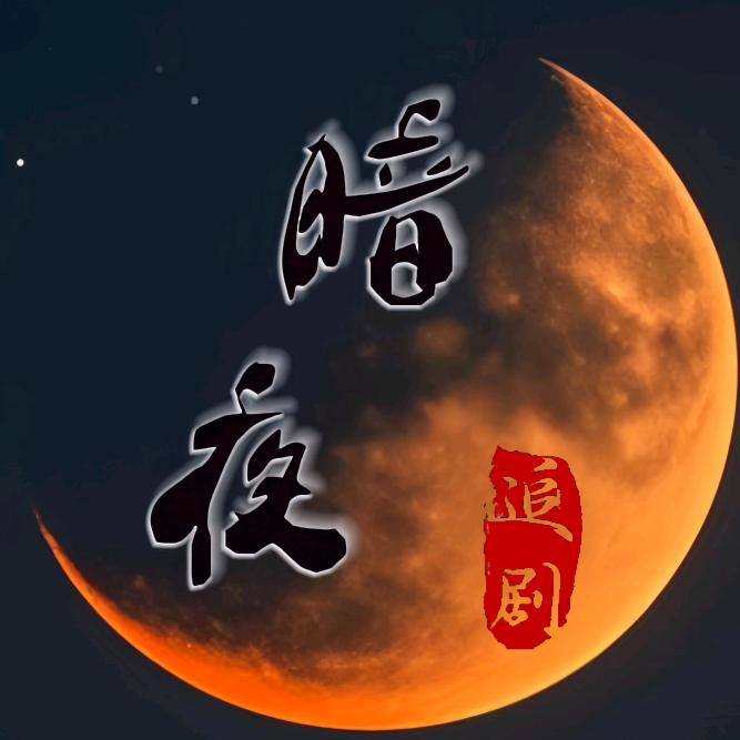 暗夜追剧